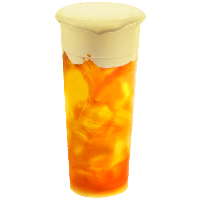 Mousse Crème brûlée Sachet 1kg