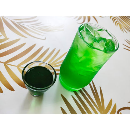 Sirop de Melon (Honeydew) Bidon 2,5kg